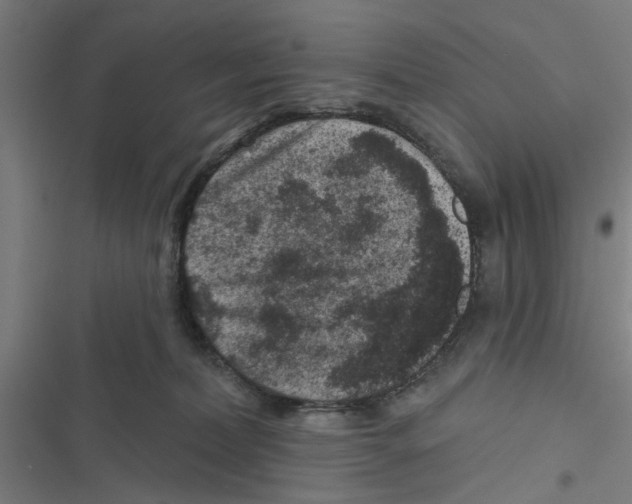 X0000116870228201001191729