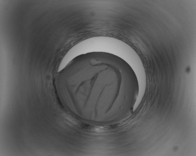 X0000116870229201001191729