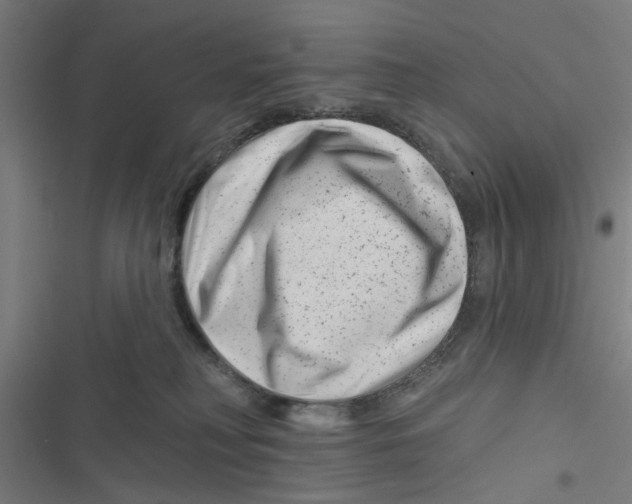 X0000116870230201001191729