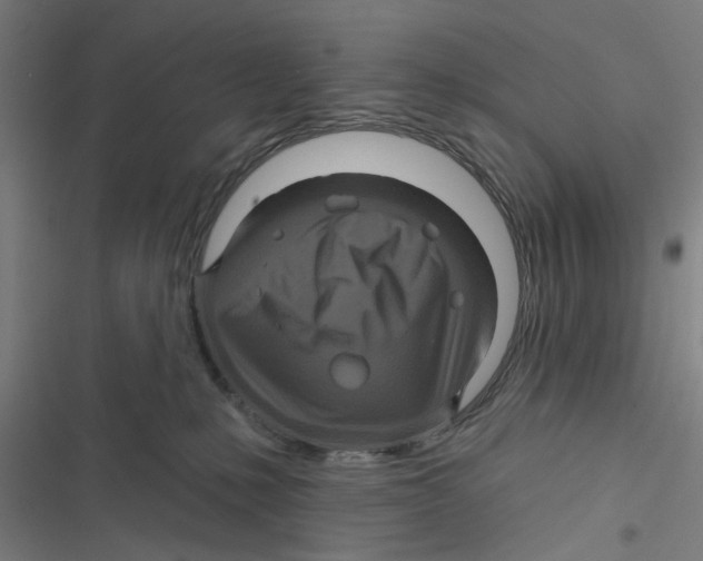 X0000116870231201001191729