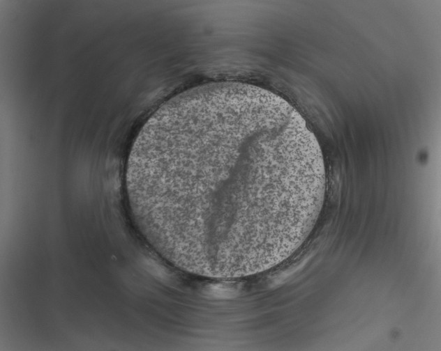 X0000116870232201001191729