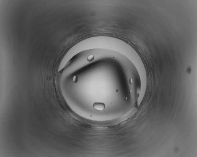 X0000116870233201001191729