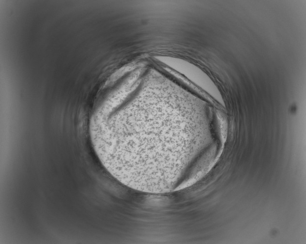 X0000116870234201001191729