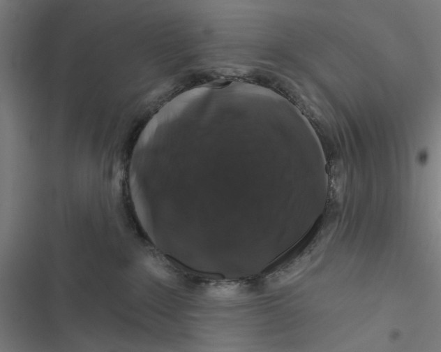 X0000116870235201001191729