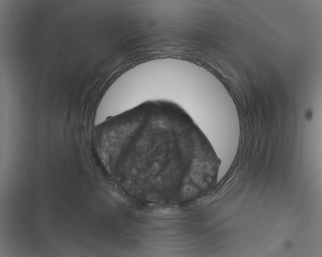 X0000116870236201001191729