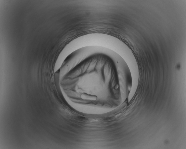 X0000116870237201001191729