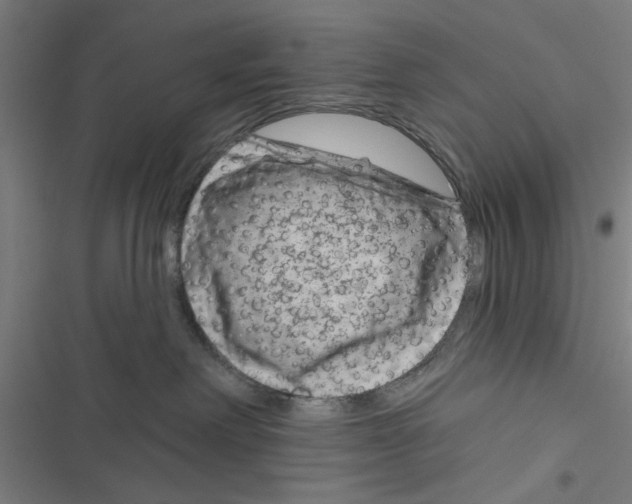X0000116870238201001191729