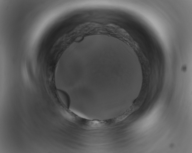 X0000116870239201001191729