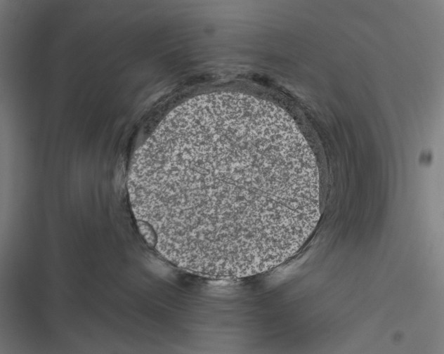 X0000116870240201001191729