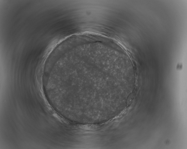 X0000116870241201001191729