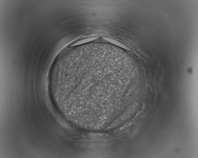 X0000116870242201001191729