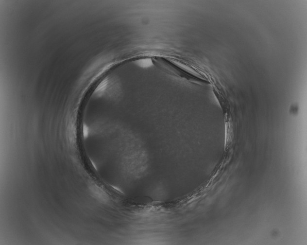 X0000116870243201001191729