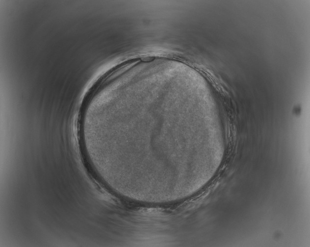 X0000116870244201001191729