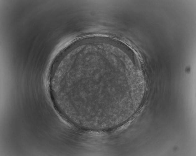 X0000116870245201001191729