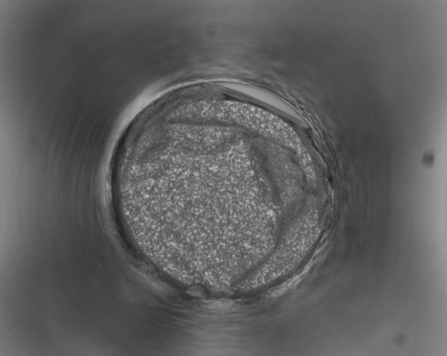 X0000116870246201001191729