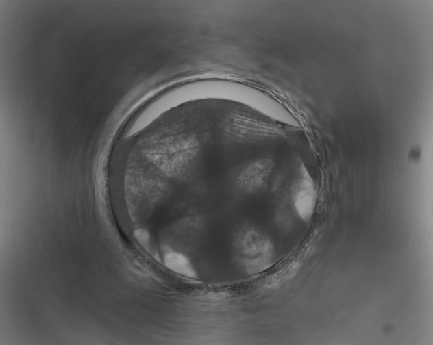 X0000116870247201001191729