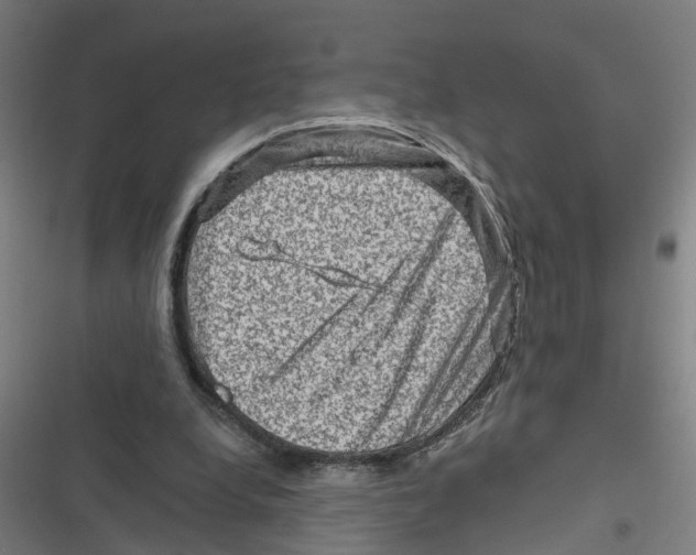 X0000116870248201001191729