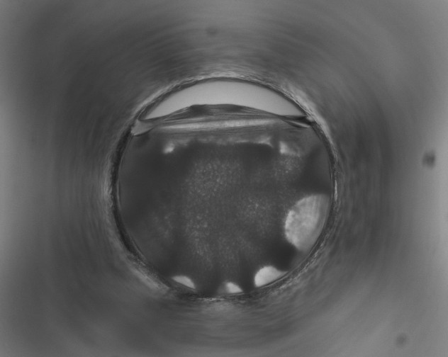 X0000116870249201001191729