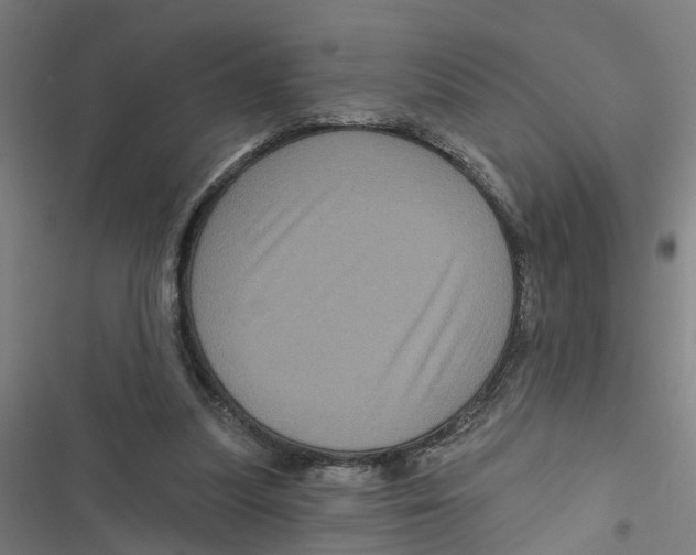 X0000116870251201001191729