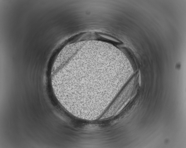 X0000116870252201001191729