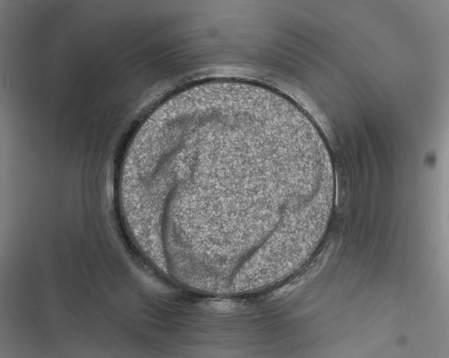 X0000116870253201001191729