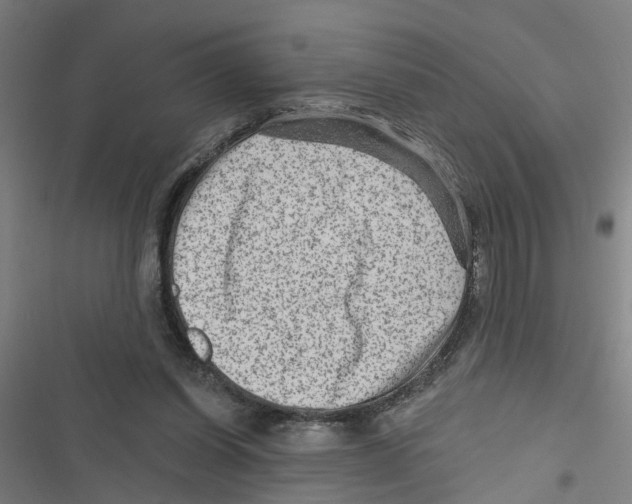 X0000116870254201001191729