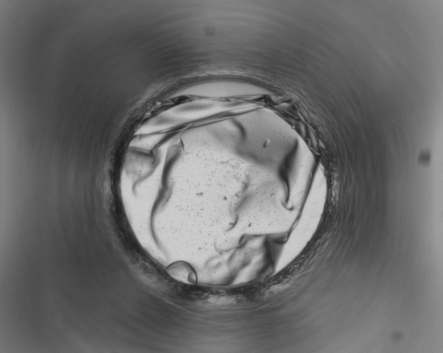 X0000116870256201001191729