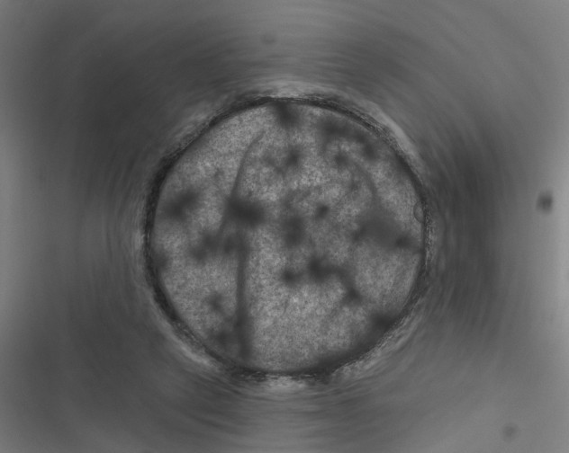 X0000116870257201001191729