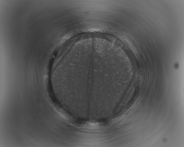 X0000116870260201001191729
