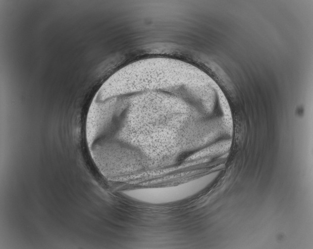 X0000116870261201001191729