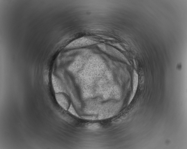 X0000116870262201001191729
