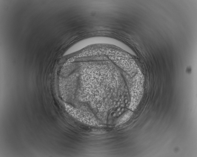 X0000116870263201001191729