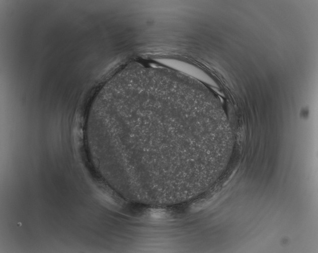 X0000116870264201001191729