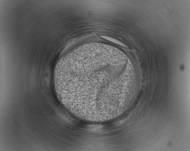 X0000116870266201001191729