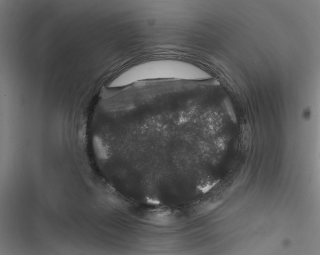 X0000116870267201001191729