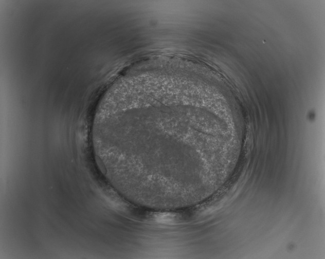 X0000116870268201001191729
