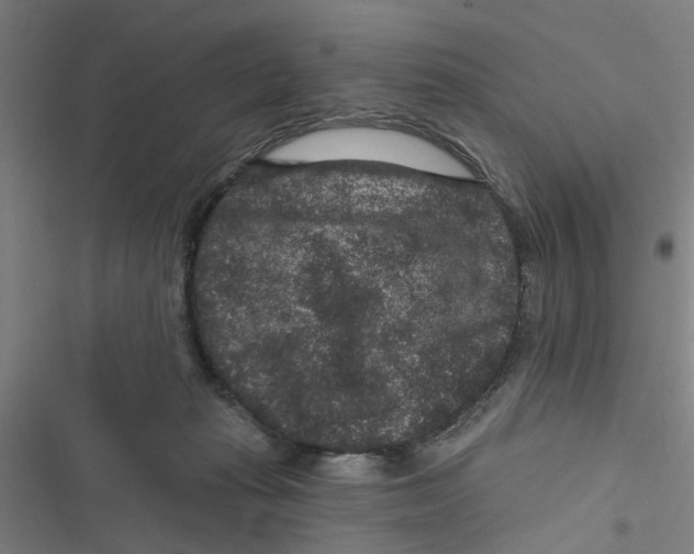 X0000116870269201001191729