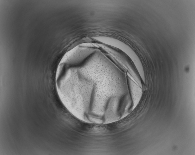 X0000116870270201001191729