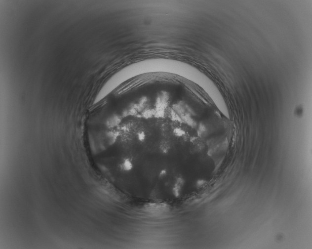 X0000116870271201001191729