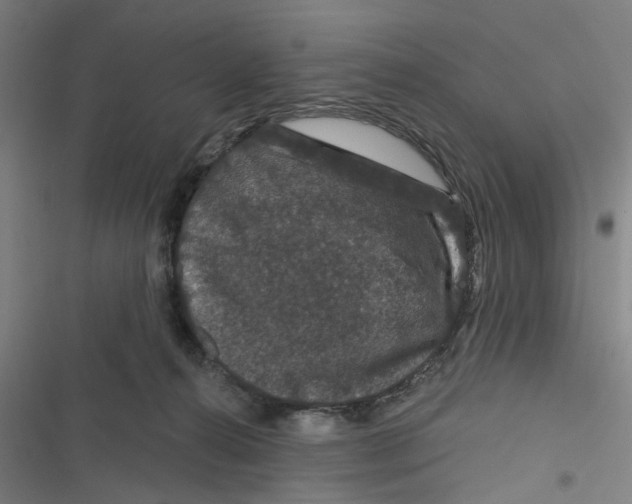 X0000116870272201001191729