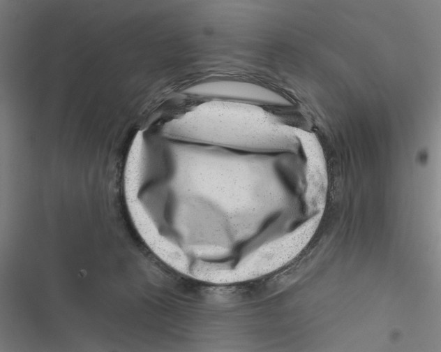 X0000116870273201001191729