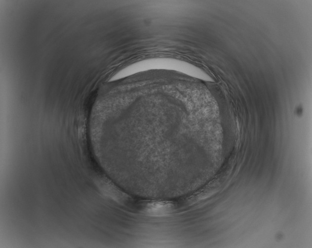 X0000116870274201001191729