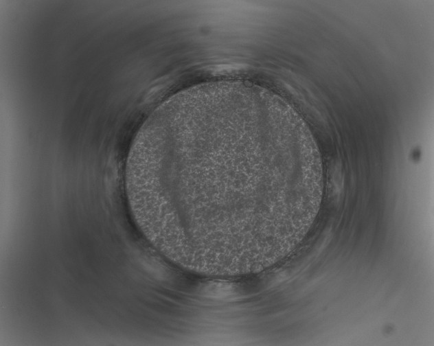 X0000116870276201001191729