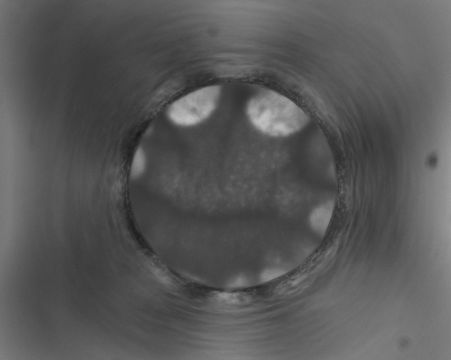 X0000116870277201001191729