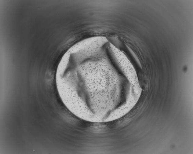 X0000116870278201001191729