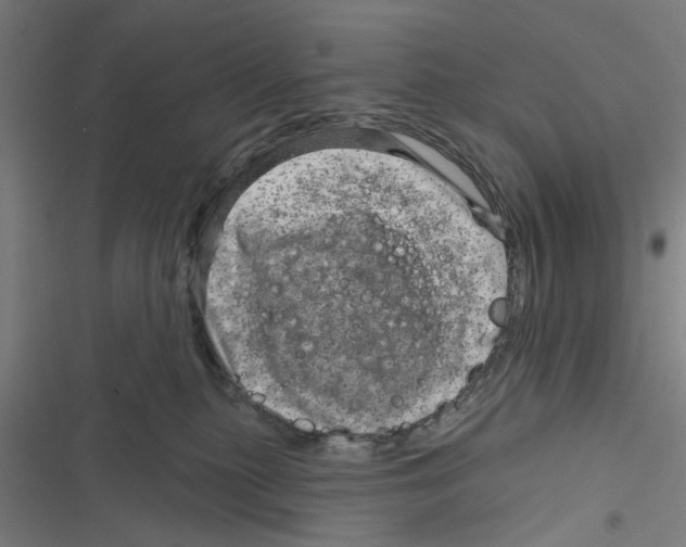 X0000116870279201001191729