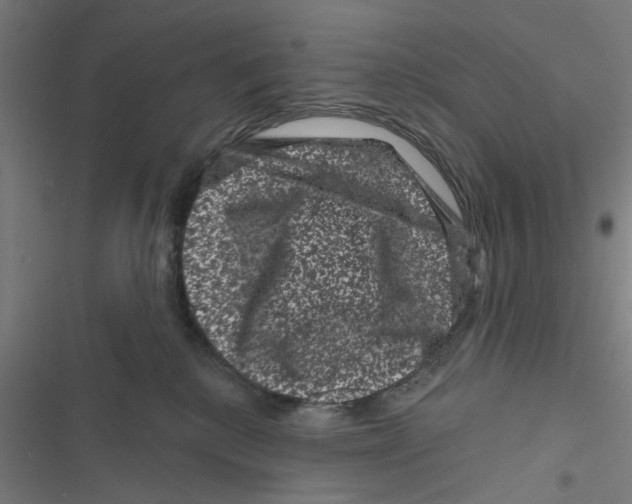 X0000116870280201001191729