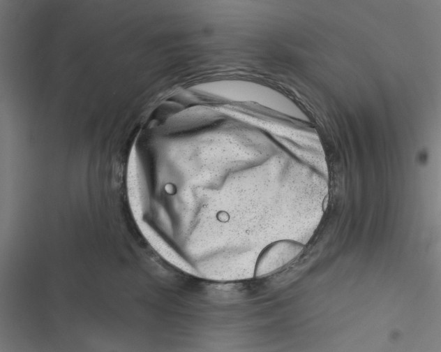 X0000116870281201001191729