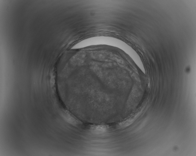 X0000116870282201001191729