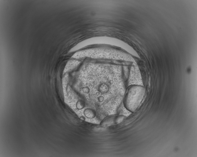 X0000116870283201001191729
